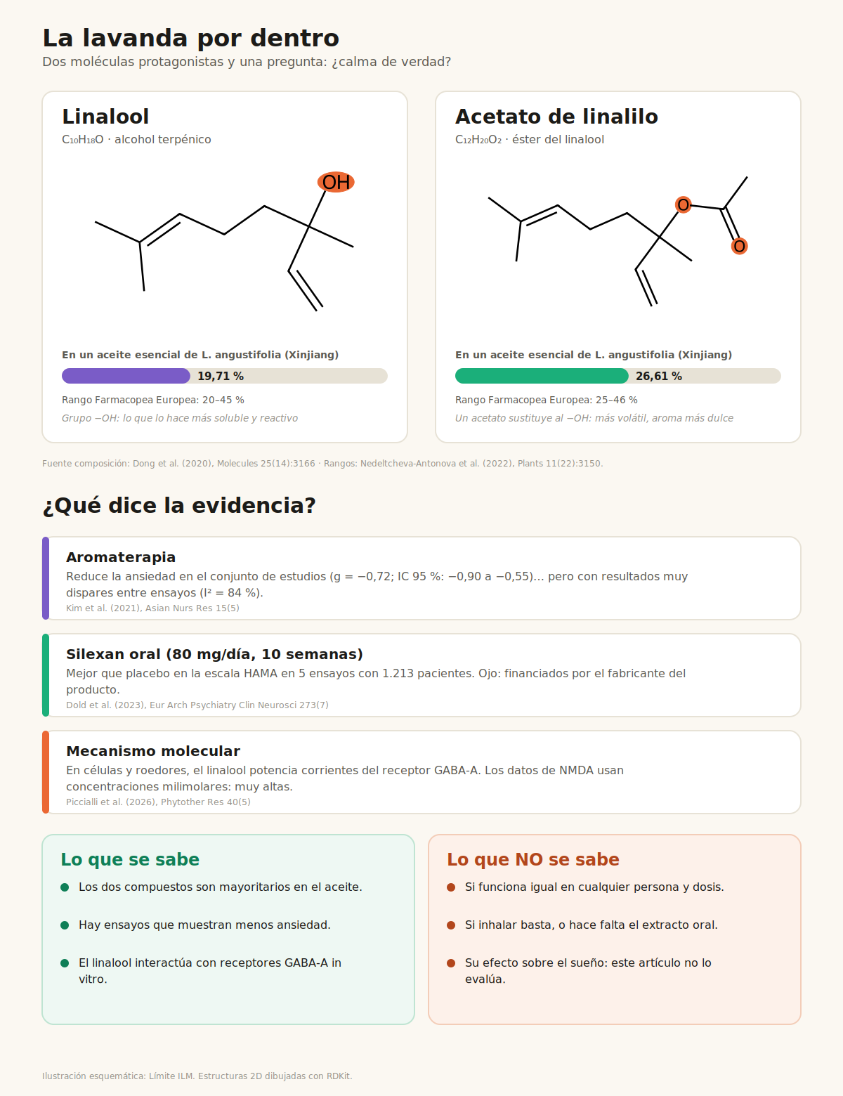 Infografía: estructuras moleculares del linalool y del acetato de linalilo, su proporción en el aceite de lavanda y un resumen de la evidencia científica