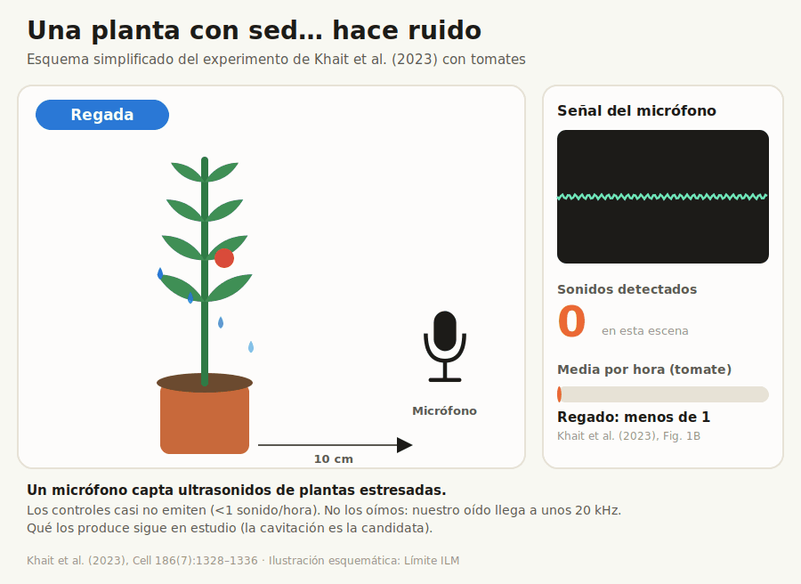 Animación: una planta de tomate pasa de estar regada a sufrir sequía, emite ondas ultrasónicas que capta un micrófono y la señal registra sonidos